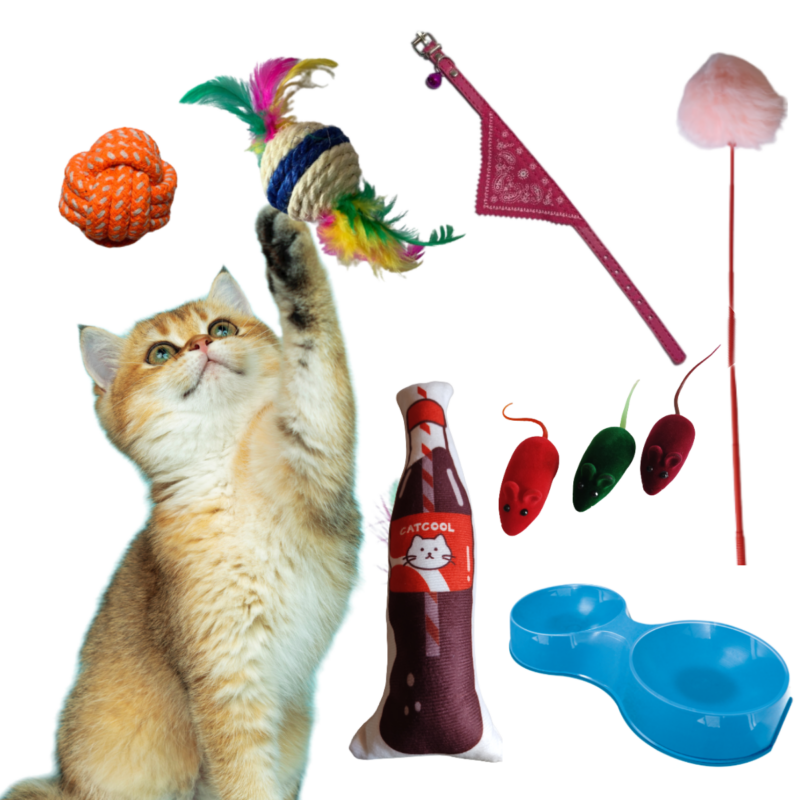 Kit de 6 Brinquedos Interativos P/ Gatos + Comedouro Duplo