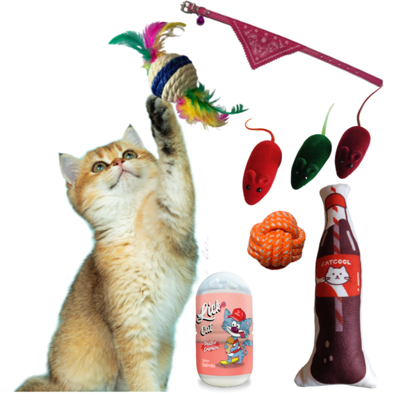 Kit de 5 Brinquedos Interativos P/ Gatos + Petisco Cremoso