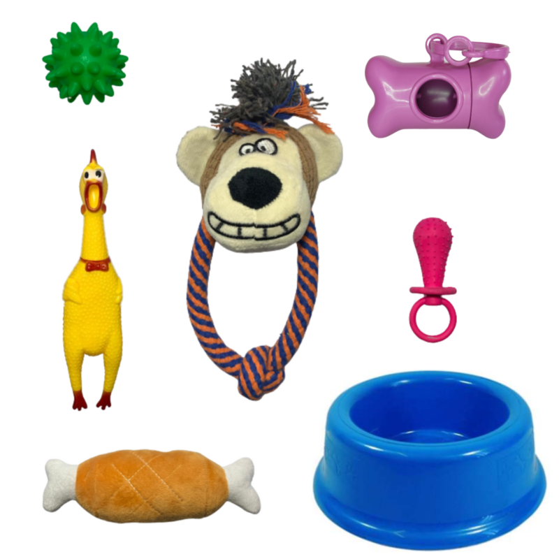 Kit de 5 Brinquedos Interativos P/ Cães + Comedouro 1000ml e Cata Caca