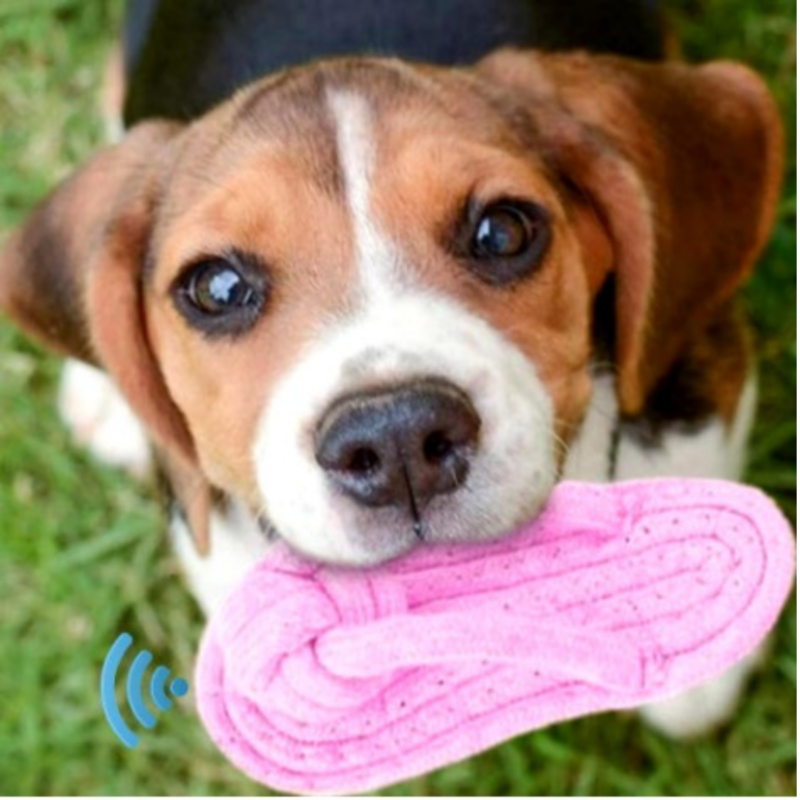 Brinquedo Para Cães e Gatos Mordedor Chinelo Poliéster 17Cm