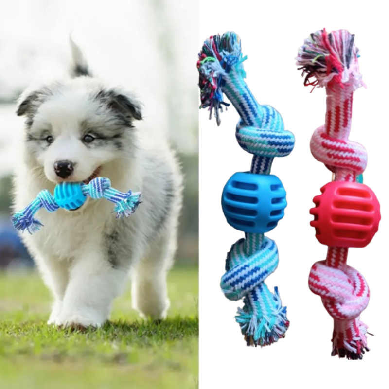 Brinquedo Mordedor P/ Cães e Gatos Reforçado - Corda e Bola  21Cm