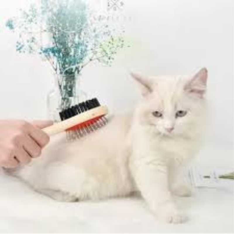 Escova Para Cães e Gatos, Madeira Dupla face Tam. G